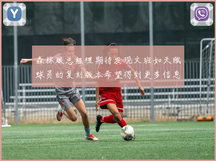 森林狼总经理期待发现文班如天赋球员的复刻版本希望得到更多信息